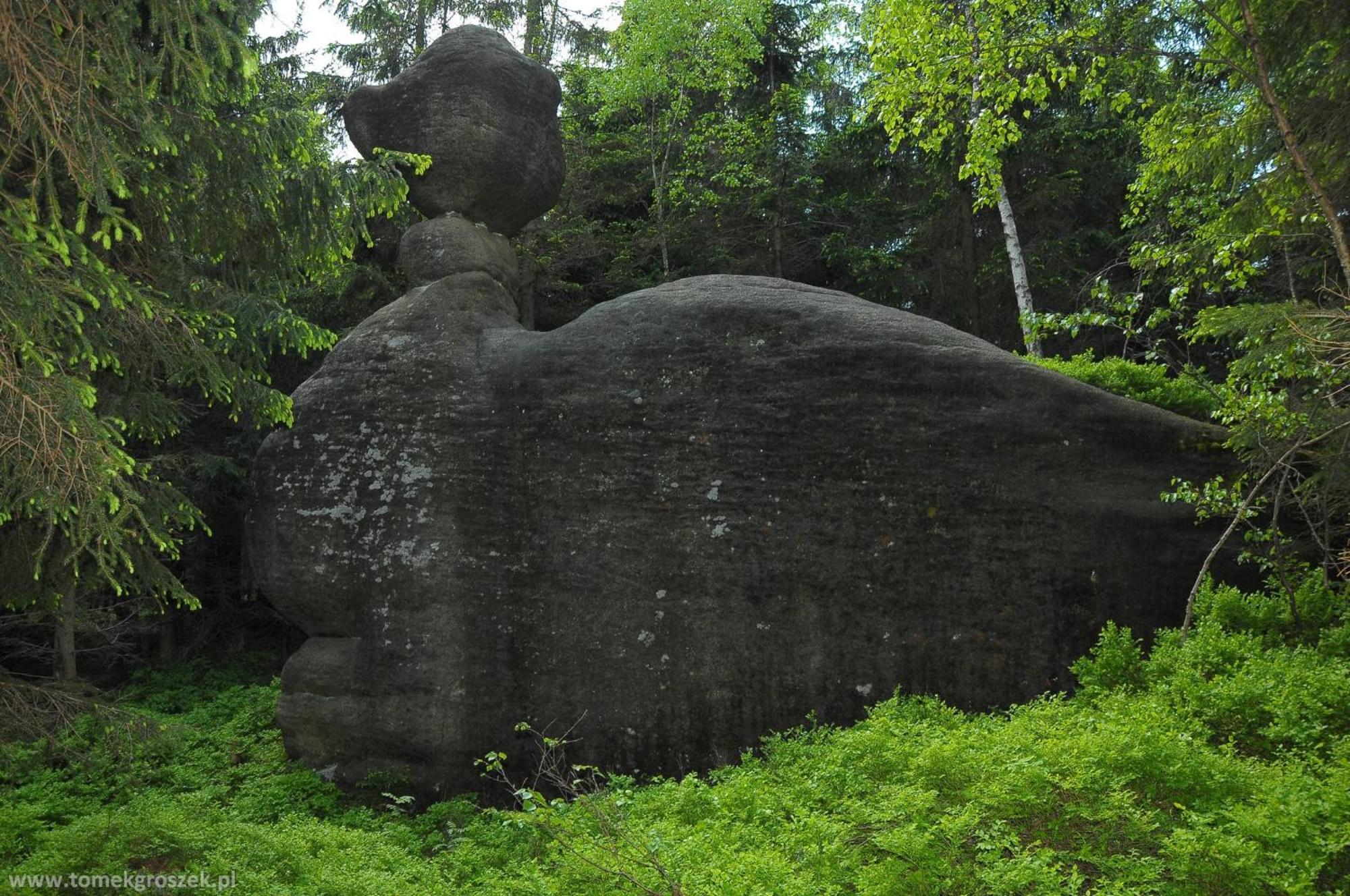 Sielankownia Radkow